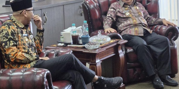 Bupati Tanggamus Bertemu Gubernur Lampung, Sinergi Percepat Pembangunan Infrastruktur dan Ekonomi Daerah