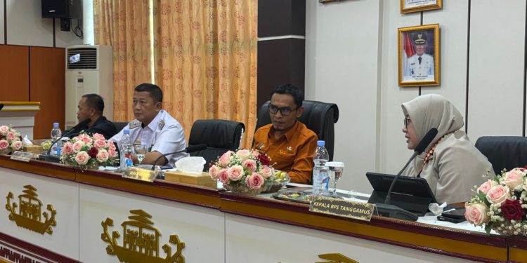 HSN 2025 di Tanggamus: Data Statistik Jadi Senjata Utama Dongkrak Ekonomi dan UMKM