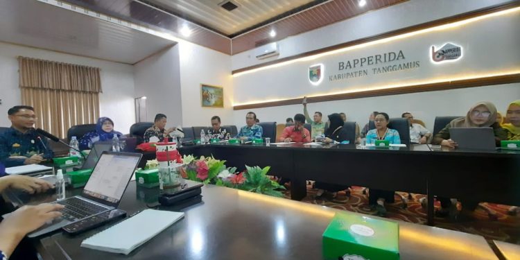 BPOM Lampung Kawal Program Kabupaten Pangan Aman di Tanggamus, Targetkan Data Lengkap Sebelum Tenggat