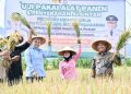 Bantuan Alsintan dan Pupuk Organik Cair Dorong Produktivitas Pertanian Pesawaran, Petani Optimis Hasil Panen Meningkat