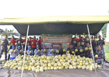 Panen Melon & Ikan Nila Yonif 7 Marinir: Ketahanan Pangan Jadi Semakin Mantap!