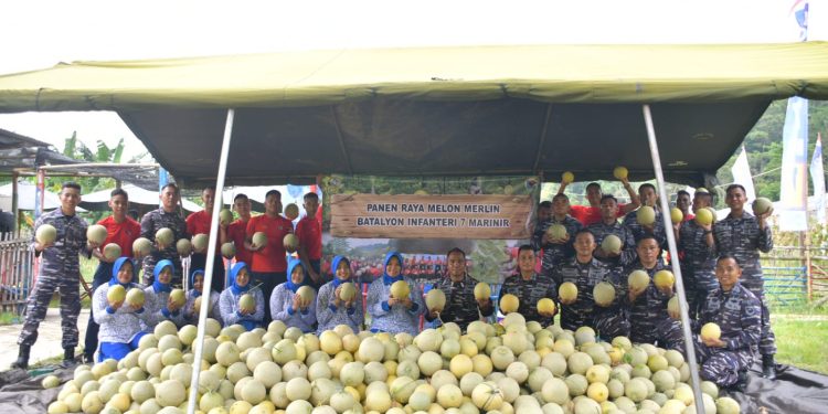 Panen Melon & Ikan Nila Yonif 7 Marinir: Ketahanan Pangan Jadi Semakin Mantap!