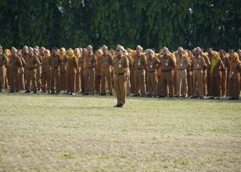 Lampung Siap Jadi Lumbung Pangan Nasional: Gubernur Dorong Sinergi dan Perkembangan Perkebunan Berkelanjutan