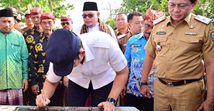 Bupati Lampung Selatan Resmikan Jalan Way Harong-Simpang Sidoharjo, Dorong Mobilitas dan Ekonomi Desa Agom