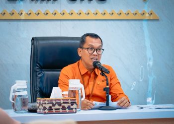 Ekonomi Lampung Tumbuh 5,04% Triwulan III 2025, Terbesar Ketiga di Sumatera dan Dorong Investasi hingga Pariwisata