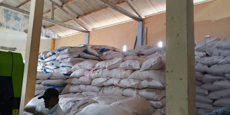 Dinas Pertanian Pringsewu Perketat Pengawasan Harga Pupuk: Pengecer Nakal Terancam Ditutup