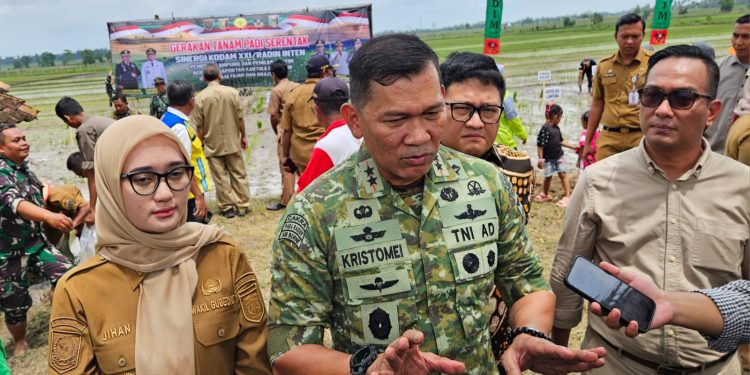 Gerakan Tanam Padi Serentak, TNI dan Pemda Satukan Langkah Perkuat Pangan